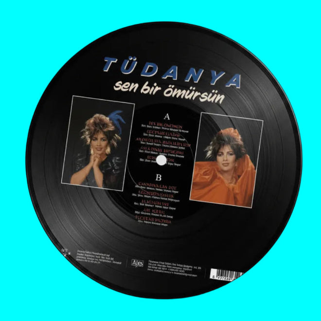 Tüdanya - Sen Bir Ömürsün (Plak) Arabeske | Arabesk | Müzik | Plak | Schallplatte | LP