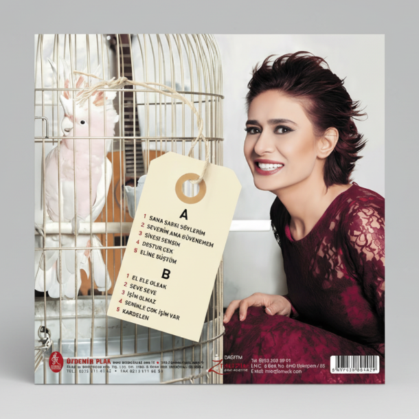 Yıldız Tilbe - Şivesi Sensin Aşkın Plak (Yıldız Tilbe Plak)Yıldız Tilbe Schallplatte