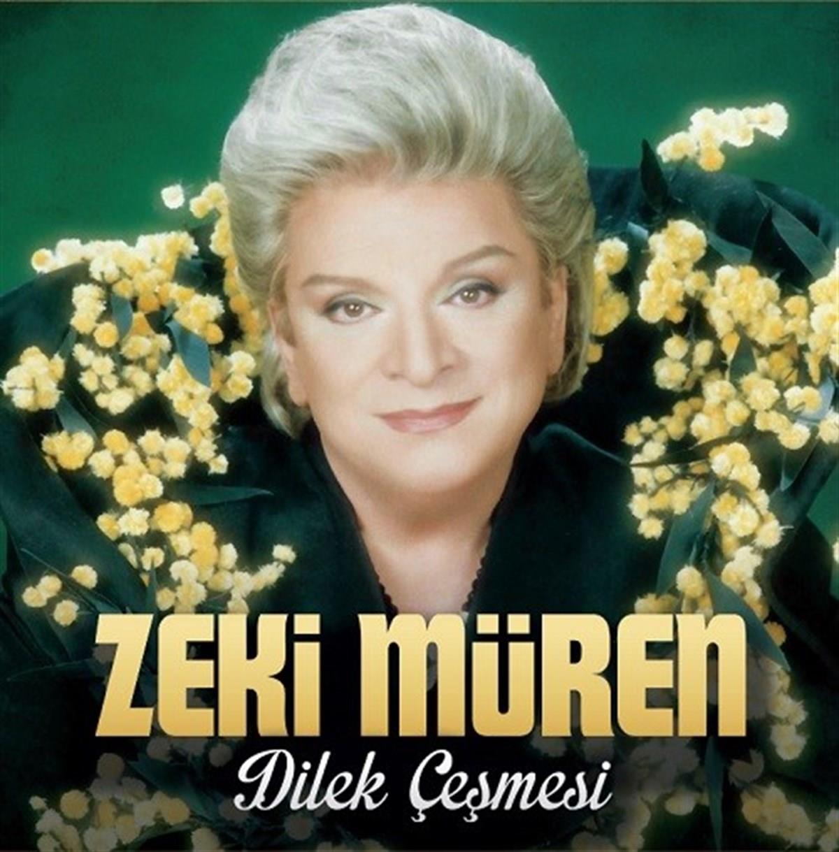 ZEKI MÜREN - Dilek Çeşmesi - plak - vinil - poster